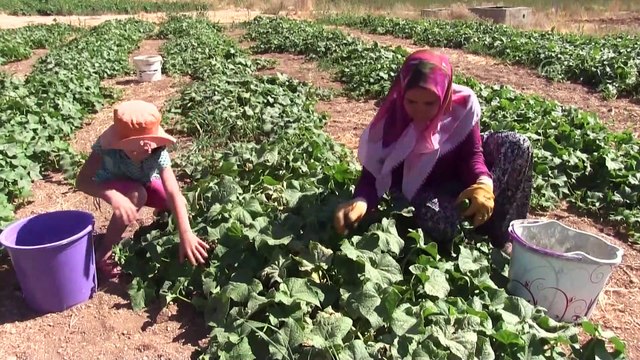 Pandemi sürecinde iş bulamayan kişiye hayırseverler sahip çıktı - KAHRAMANMARAŞ