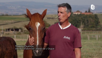 VOYONS VOIR - 24 SEPTEMBRE 2020