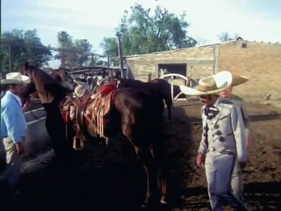 Vicente Fernandez - El Arracadas PT1 - Vídeo Dailymotion