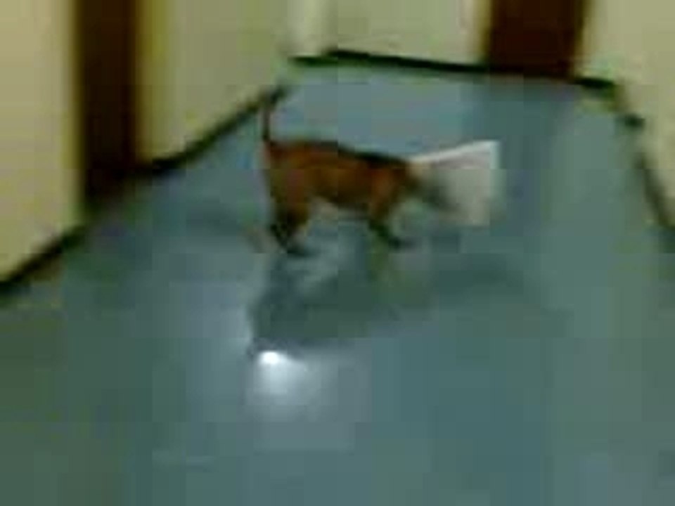 Vidéo010