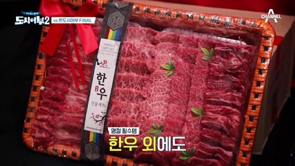▶도시 VS 반도시◀ 그 치열했던 승부의 결과는?! (feat. 폭주하는 김치맨)