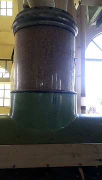 wheat Flour Mills First Break cutting Result