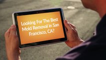 Best Mold Removal in San Francisco, CA