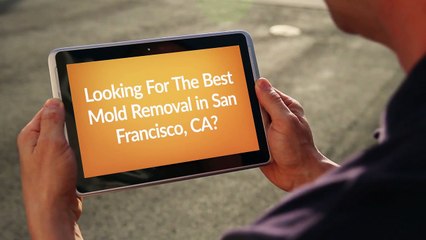 Best Mold Removal in San Francisco, CA