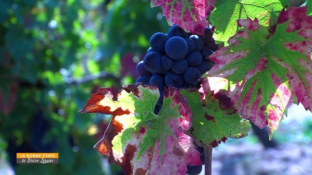 La Bonne Étape - 24/09/2020 - Domaine de la Charmoise