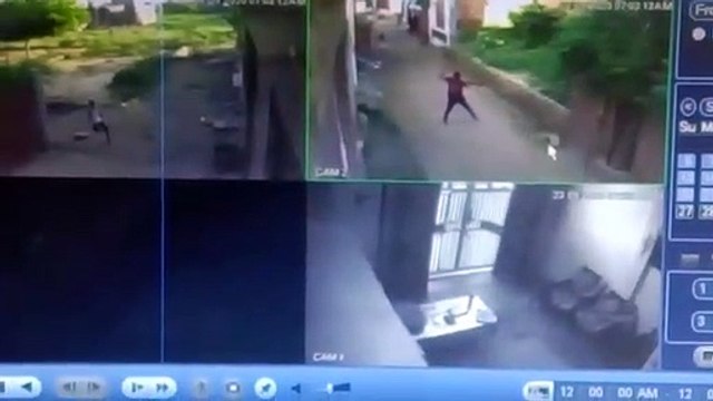 मानवता हुई शर्मसार, आधा दर्जन युवकों ने बेजुबान कुत्ते की हत्या कर सड़क पर घसीटा