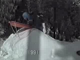 Americas Funniest Home Videos Sports 2