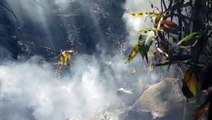 Incêndio em vegetação mobiliza Corpo de Bombeiros à Região do Lago