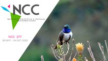 Noticiero Científico y Cultural Iberoamericano, emisión 277. 28 Septiembre al 04 de Octubre 2020