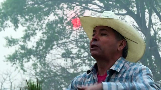 Três pontos de vista sobre o Pantanal