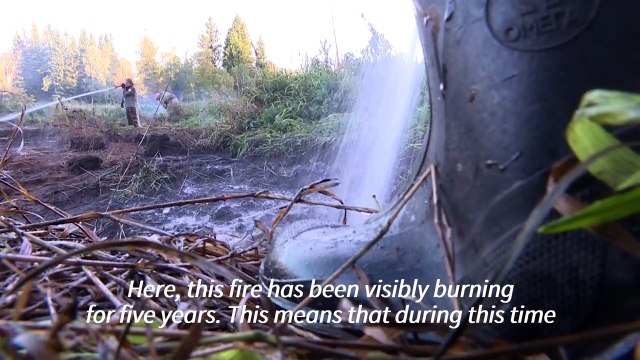 In Siberia forests, climate change stokes 'zombie fires'