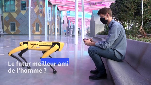 Scar, un robot-chien pour remplacer l'homme dans les endroits dangereux