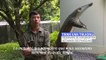 Au Vietnam, les pangolins toujours menacés malgré la lutte contre le trafic