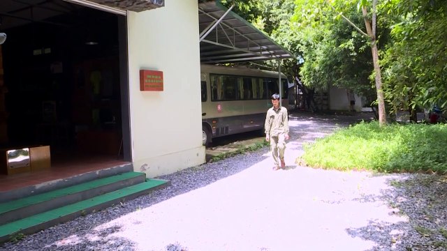 A luta para proteger os pangolins