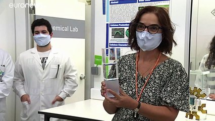 Cientista portuguesa distinguida pela Comissão Europeia