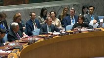 Reforma do Conselho de Segurança da ONU em pauta