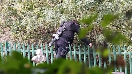 Armed police scour cemetery during manhunt in London