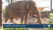 Phoenix Zoo welcomes back guests