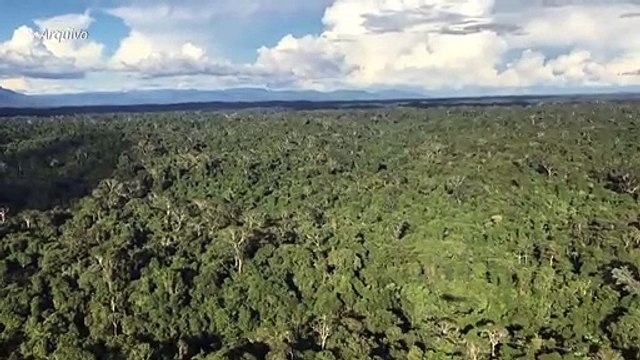 PF desmonta rede de tráfico de diamantes