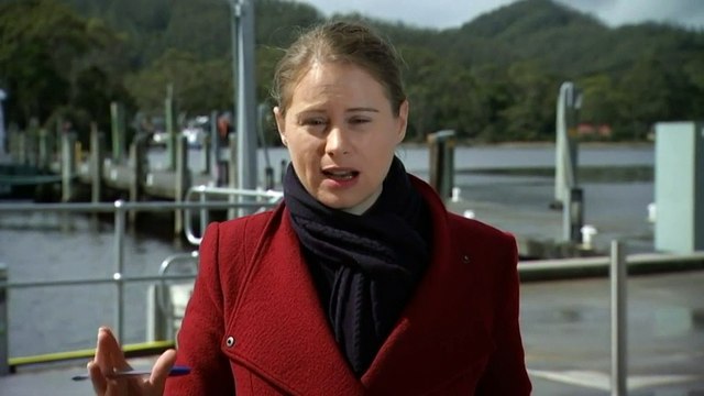 Rescuers in Tasmania free 70 stranded whales