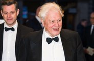 Sir David Attenborough has joined Instagram!