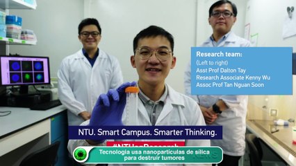 Tecnologia usa nanopartículas de sílica para destruir tumores