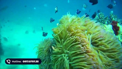 Top 5 Địa Điểm Du Lịch Đẹp Nhất Nha Trang