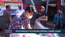 Polisi Ringkus Tiga Pelaku Penjual Gading Gajah