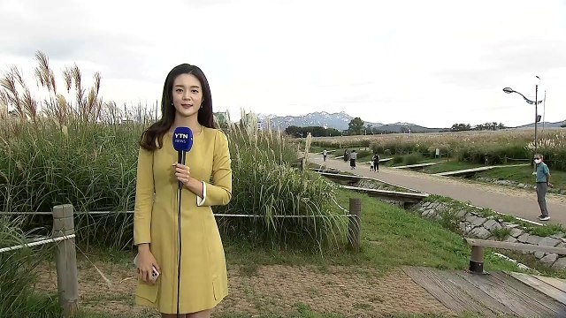 [날씨] 주말 맑고 선선한 가을...동해안 비바람 / YTN