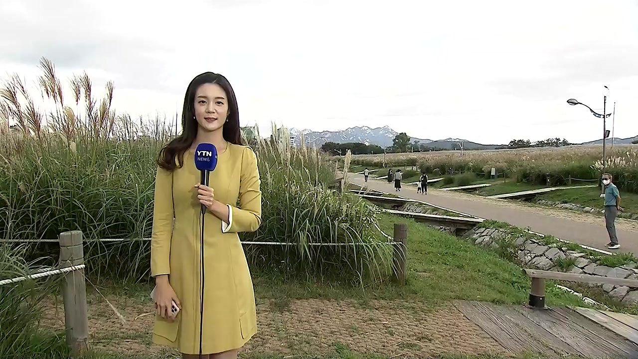 [날씨] 주말 맑고 선선한 가을...동해안 비바람 / YTN