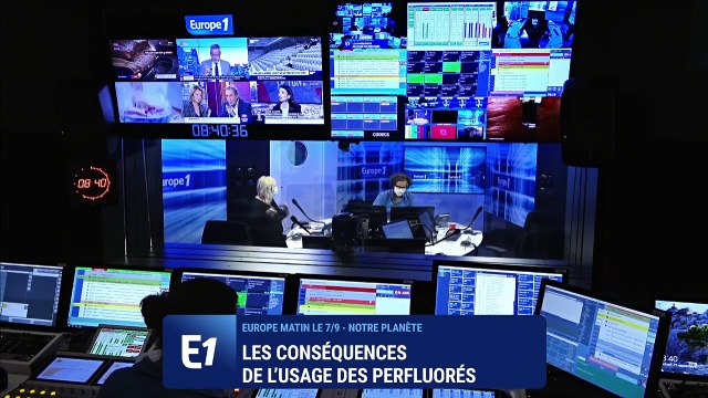 Les mouettes menacées par les composés perfluorés