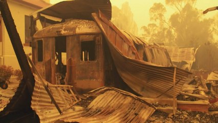 Australia’s Forgotten Bushfire Survivors | 101 East
