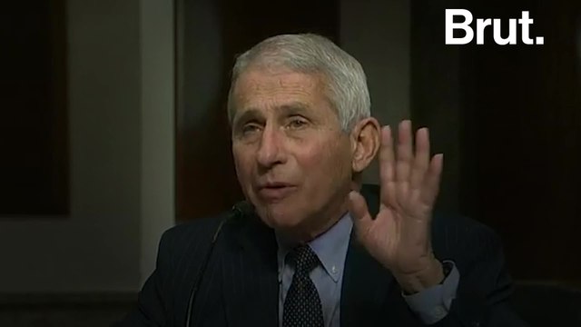 3 times Dr. Fauci and Sen. Rand Paul clashed on COVID-19 response