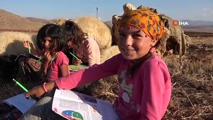 Koyunların peşinde hayallerine koşuyorlar