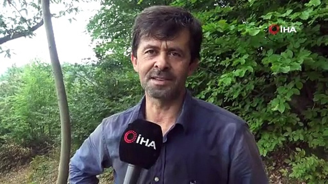 Bursa'da kestane hasadı başladı