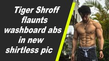 Tiger Shroff flaunts washboard abs in new shirtless pic