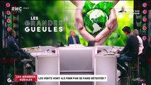 Les verts vont-ils finir par se faire détester ? - 25/09