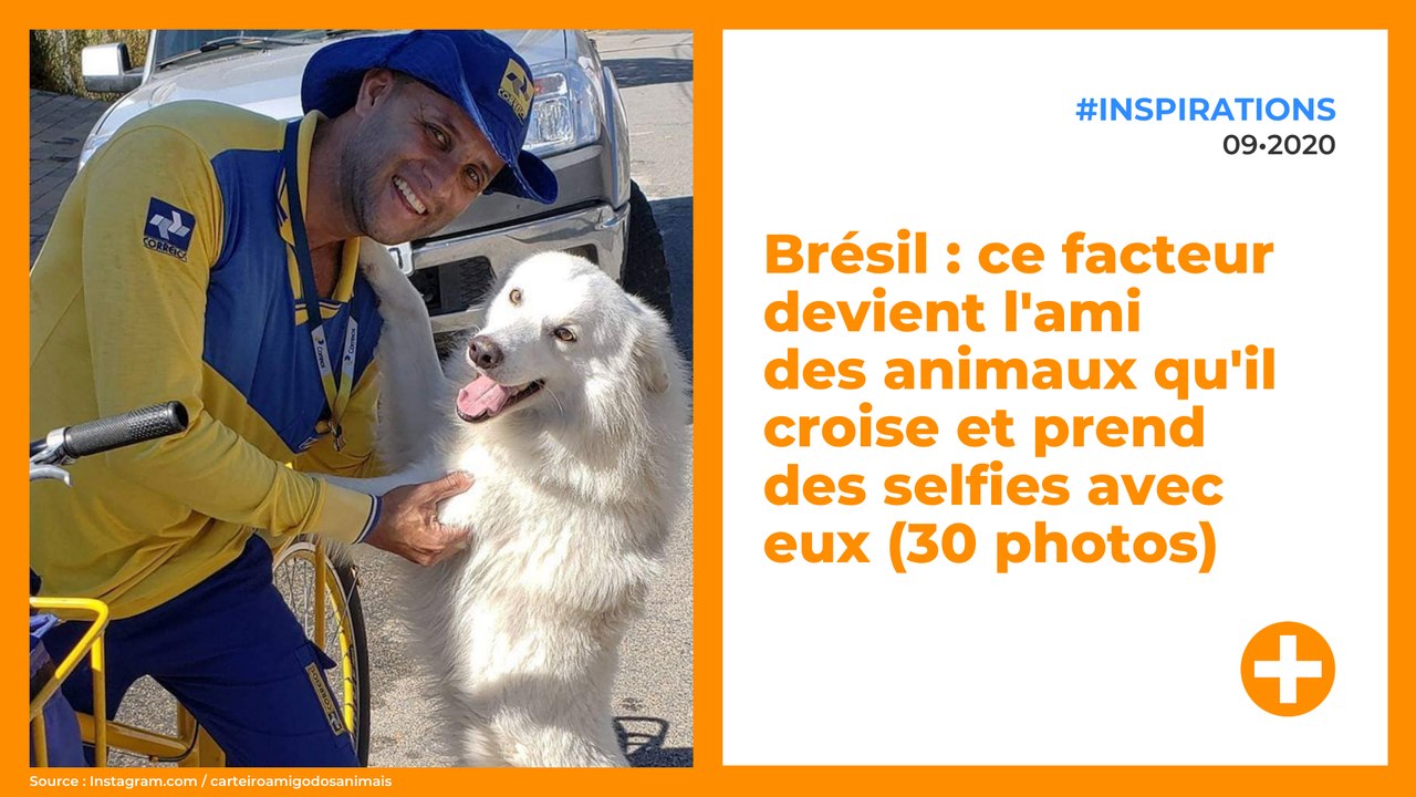 Brésil : ce facteur devient l'ami des animaux qu'il croise et prend des selfies avec eux (30 photos)