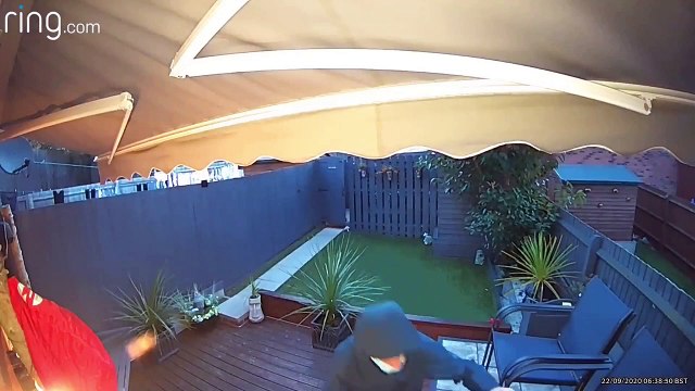 Brazen thief steals bike from Northampton family home