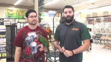 Upcoming Parrot Wizard Show at Todd Marcus
