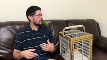 Boarding Parrots - Advice on Parrot Boarding