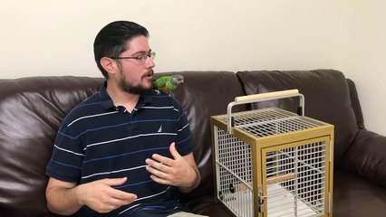 Boarding Parrots - Advice on Parrot Boarding