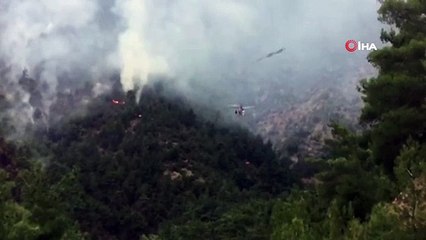 70 hektarlık alan kül oldu