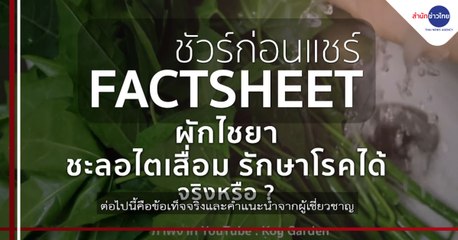 ชัวร์ก่อนแชร์ FACTSHEET : ผักไชยา ชะลอไตเสื่อม รักษาโรคได้ จริงหรือ?