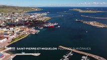 Saint-Pierre-et-Miquelon : Plongée sur épaves