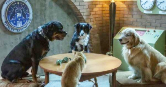 Como Perros y Gatos La patrulla Unida