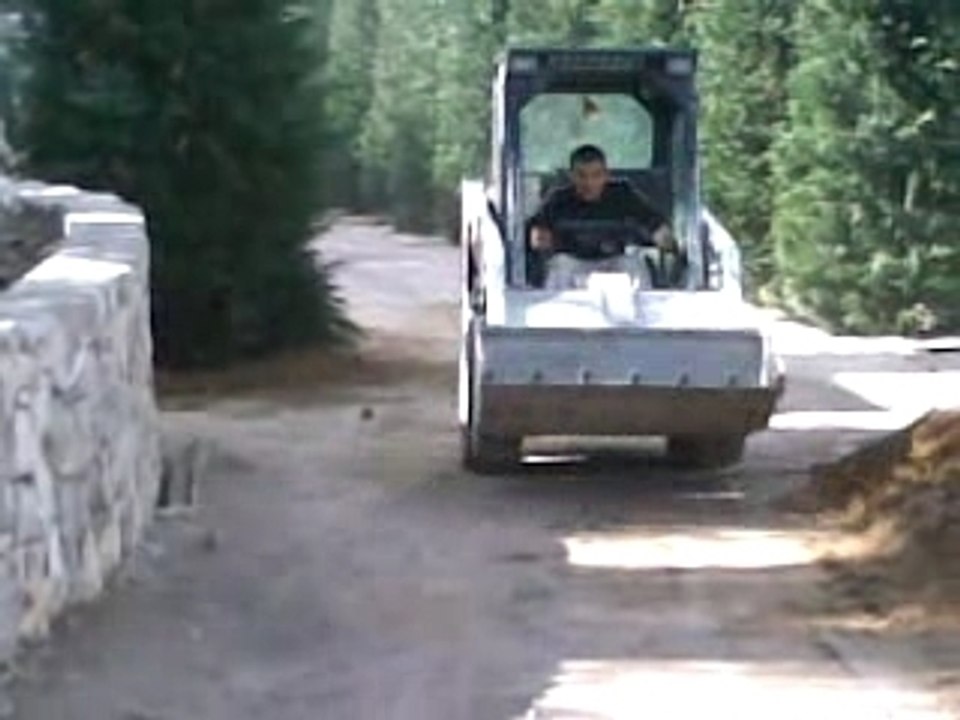 momo bobcat