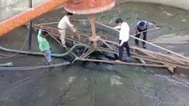 Six-foot-long crocodile rescued from industrial water tank in northern India