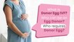 What is Donor Egg IVF? | Who can be an egg donor? | Who requires donor egg?