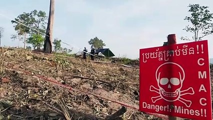 Rat gets award for sniffing out mines in Cambodia